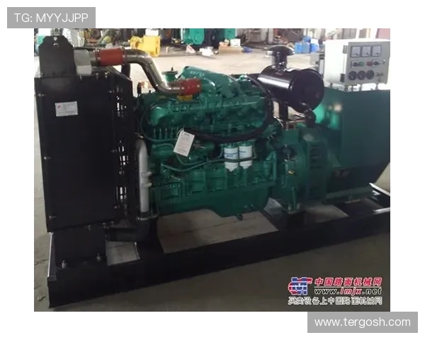 挖掘机发电机不充电检查