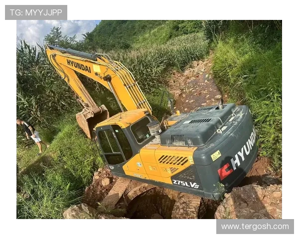 挖掘机驾驶室改色案例分享